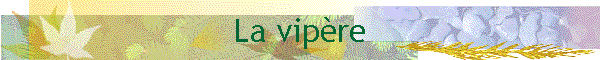 La vipre