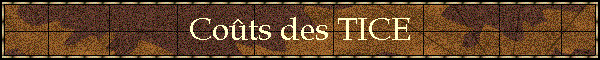 Cots des TICE