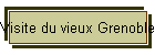 Visite du vieux Grenoble