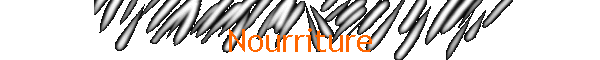 Nourriture